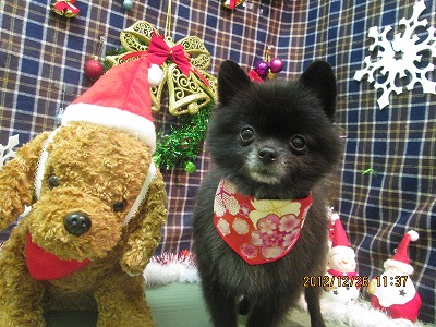 ファイル 5841-2.jpg