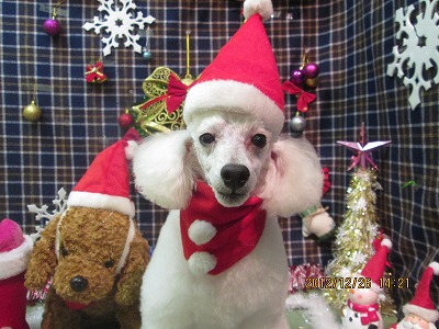 ファイル 5842-2.jpg