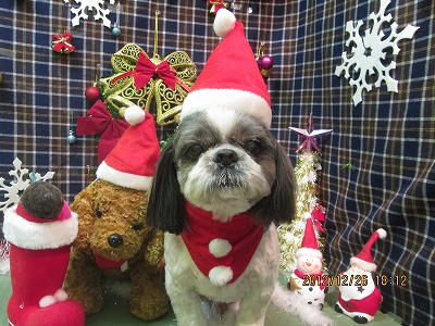 ファイル 5844-1.jpg