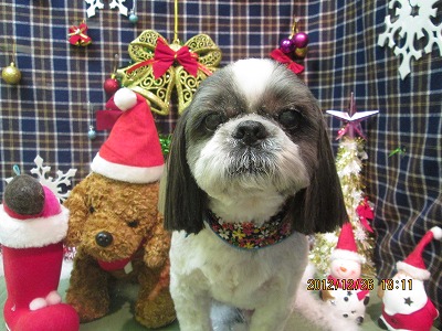 ファイル 5844-2.jpg