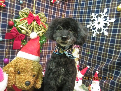 ファイル 5845-1.jpg