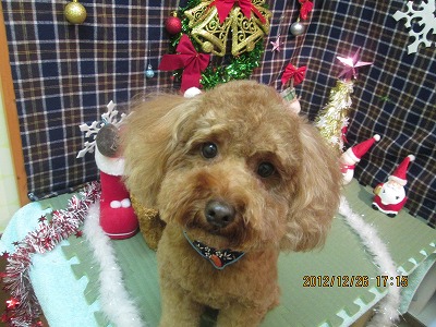 ファイル 5846-2.jpg