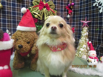 ファイル 5847-2.jpg