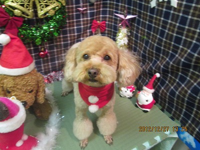 ファイル 5848-1.jpg