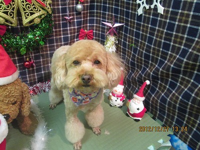 ファイル 5848-2.jpg