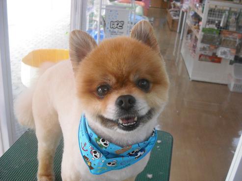 ファイル 585-1.jpg