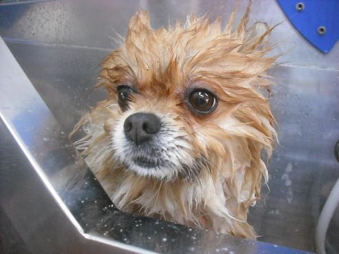 ファイル 585-2.jpg