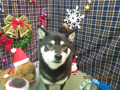 ファイル 5851-2.jpg