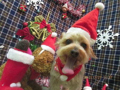 ファイル 5853-1.jpg