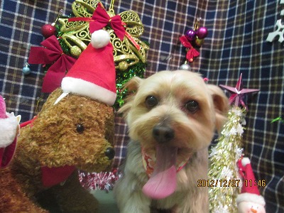 ファイル 5853-2.jpg