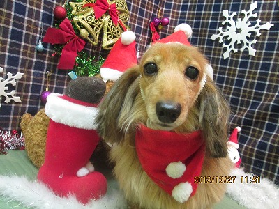 ファイル 5854-1.jpg