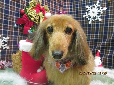 ファイル 5854-2.jpg