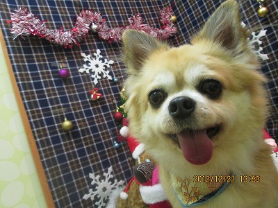 ファイル 5855-1.jpg