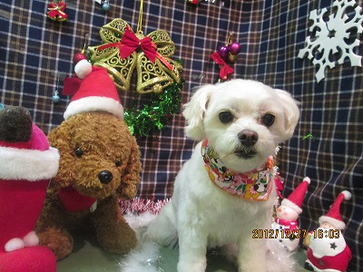 ファイル 5856-2.jpg