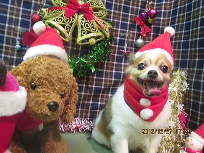 ファイル 5857-1.jpg