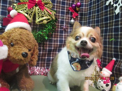 ファイル 5857-2.jpg