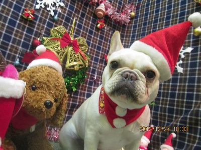 ファイル 5858-1.jpg