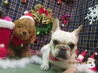 ファイル 5858-2.jpg