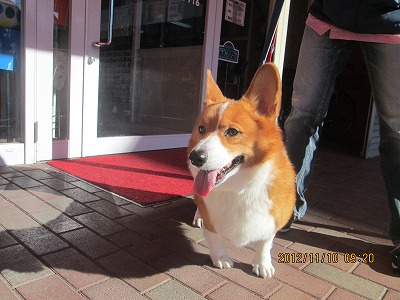 ファイル 5859-2.jpg