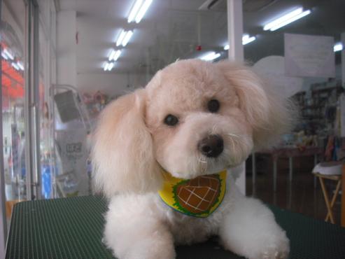 ファイル 586-1.jpg