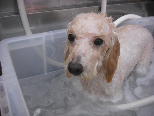 ファイル 586-3.jpg