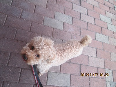 ファイル 5860-2.jpg