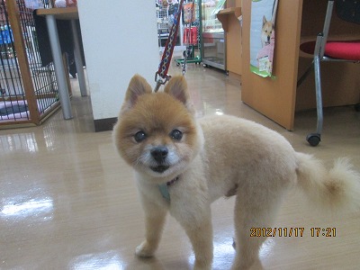 ファイル 5861-2.jpg