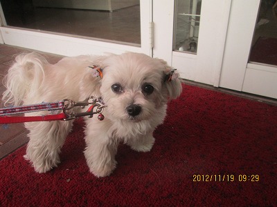 ファイル 5862-2.jpg