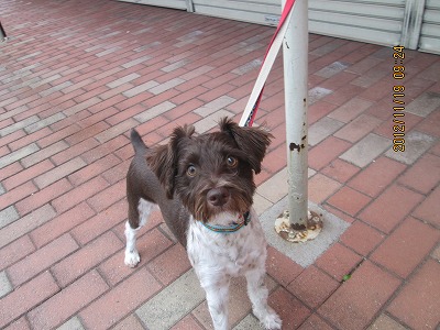 ファイル 5863-2.jpg