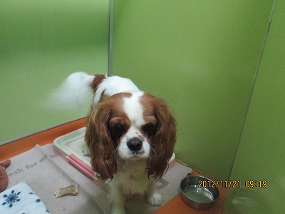 ファイル 5864-2.jpg