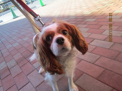 ファイル 5865-2.jpg