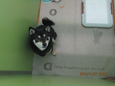 ファイル 5866-2.jpg