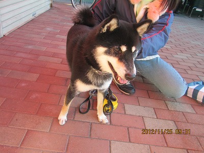 ファイル 5868-2.jpg