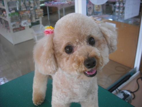 ファイル 587-1.jpg