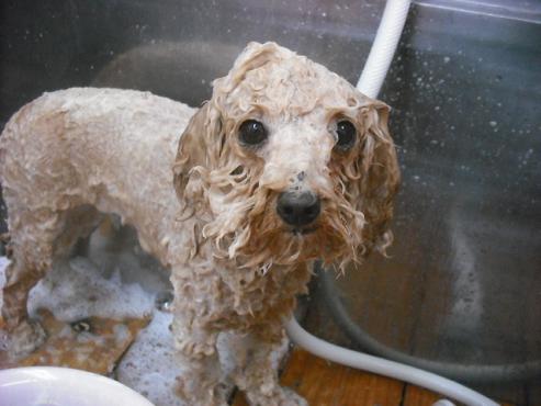 ファイル 587-3.jpg