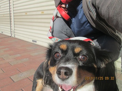 ファイル 5871-2.jpg