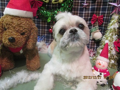 ファイル 5873-2.jpg