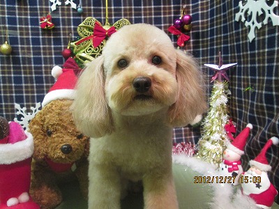 ファイル 5874-2.jpg