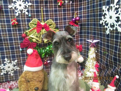 ファイル 5876-2.jpg