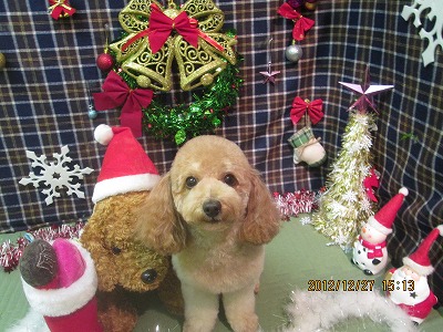 ファイル 5877-2.jpg