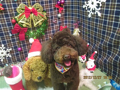 ファイル 5878-1.jpg