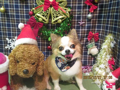 ファイル 5879-1.jpg