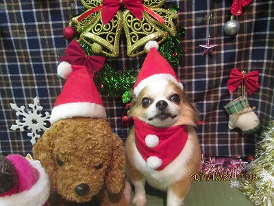 ファイル 5879-2.jpg