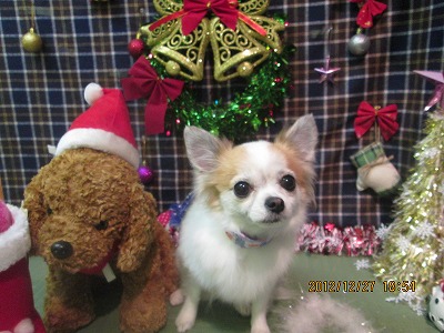 ファイル 5880-1.jpg