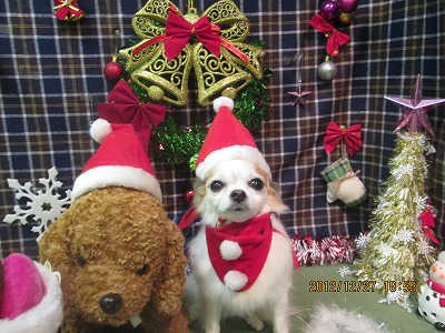 ファイル 5880-2.jpg