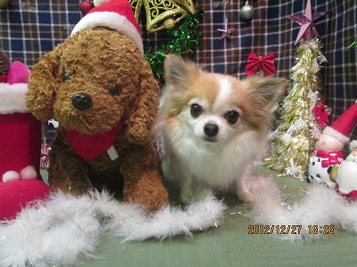 ファイル 5881-1.jpg