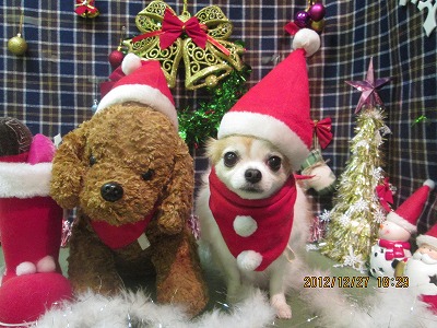 ファイル 5881-2.jpg