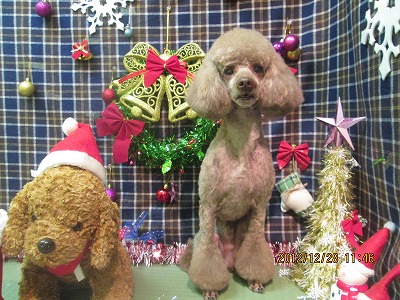 ファイル 5882-1.jpg