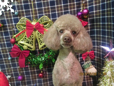 ファイル 5882-2.jpg