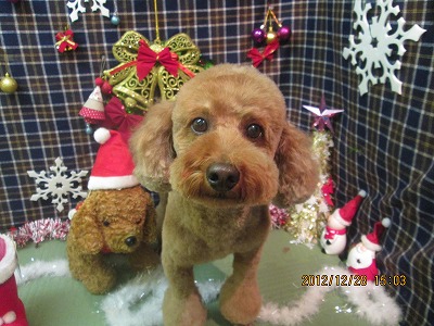 ファイル 5883-1.jpg